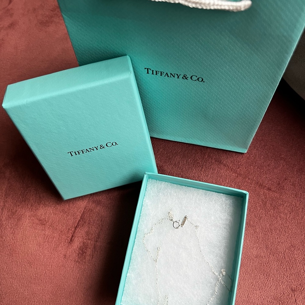 Brand new Tiffany chain 16”